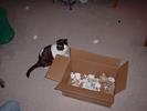 milo with box