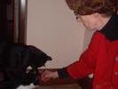 cats-getting-treats-2