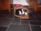 hank-in-a-bag-4
