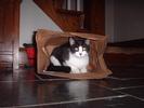 hank-in-a-bag-5