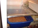 mealworms in fridge