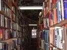renaissance books 1
