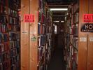 renaissance books 2