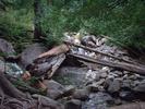 shannon falls 4