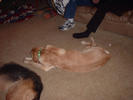 Chance asleep