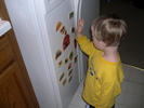 Max + fridge