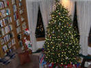 blurry xmas tree 2