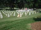17-kid playing with tombstones