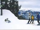 skiing
