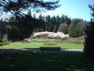 stanley park 2
