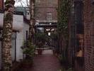 ivy covered archway