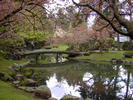 arched bridge