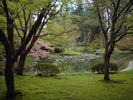 island in pond