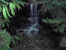 little stream