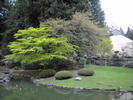 new spring leaves