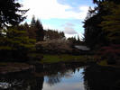 sky + reflection