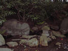 stream bank