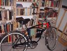bookshelves